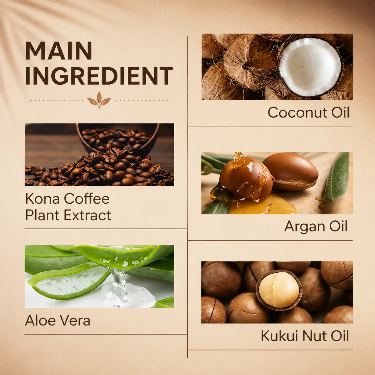 A list of main ingredients including coconut oil, Kona coffee extract, argan oil, aloe vera, and kukui nut oil with visuals.